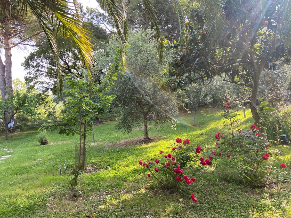 Villa Antonella Castellina Marittima Eksteriør bilde