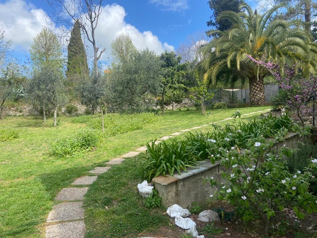 Villa Antonella Castellina Marittima Eksteriør bilde